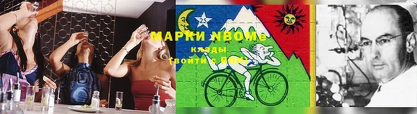 мет Алексин