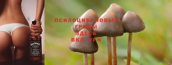 амфетамин Алексеевка