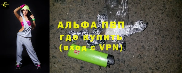 мет Алексин