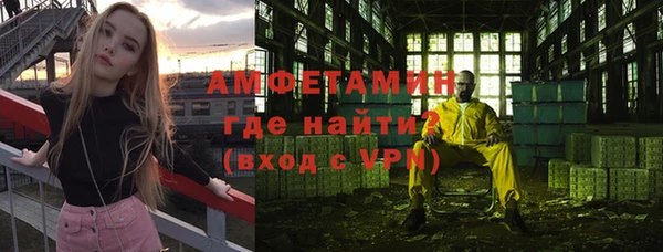мет Алексин